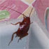 Hotel Bugs - Collect 'em all