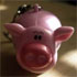 The Pooper - Oinking Good Fun
