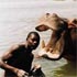 The Ultimate Daredevils